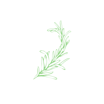 cocina-vegana-gourmet-VeganBistro_EN